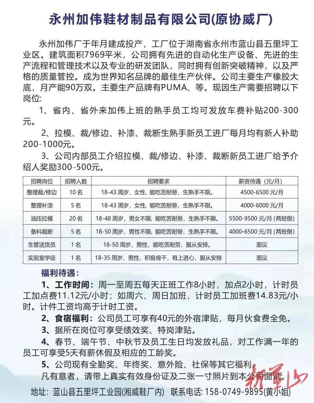 蓝山招聘网最新招聘动态深度解读与解析