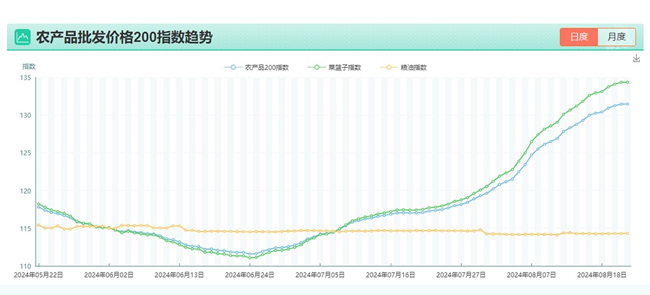 浪紫海之南 第2页