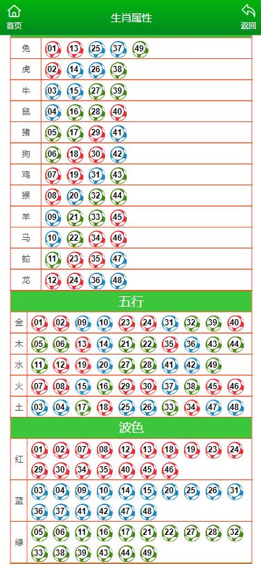 澳门一肖一码精准100王中王,数据驱动方案实施_MT66.187