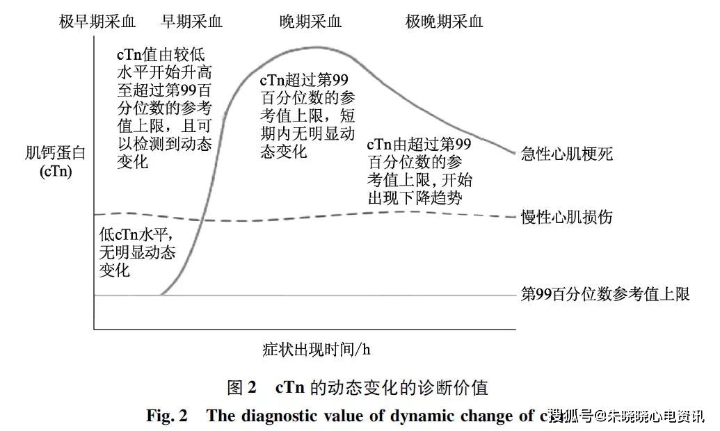 新澳门最精准正最精准,实时更新解释定义_静态版57.31