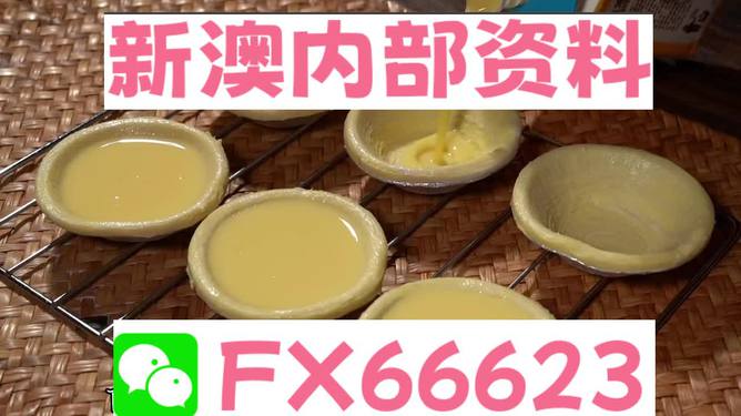 新澳精准资料免费提供,动态词语解释落实_理财版46.973