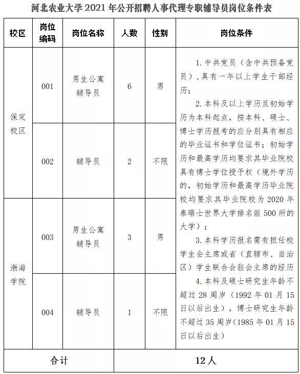 黄骅最新招聘动态与职业机会展望