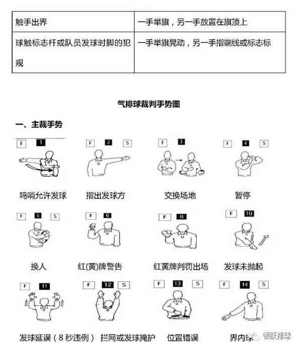 最新气排球比赛规则全面解析