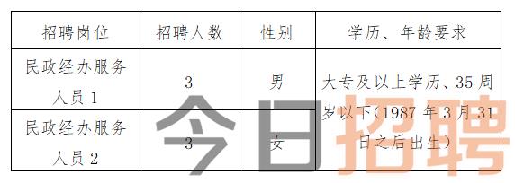 文山最新招聘动态及其社会影响分析